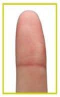 ekey odczyt linii papilarnych Algorytm odczytu linii papilarnych